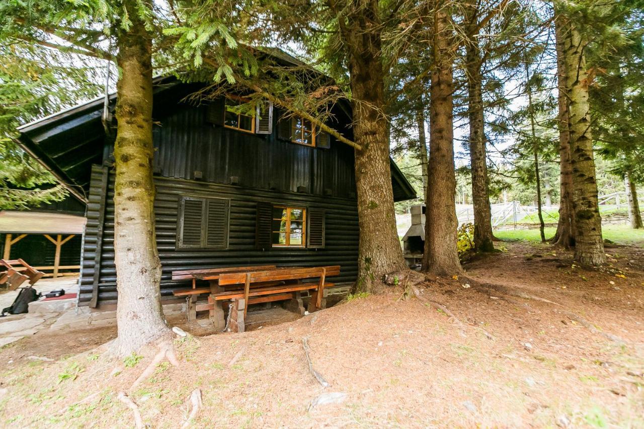 Chalet Liza & Rozi Zgornja Loznica ภายนอก รูปภาพ
